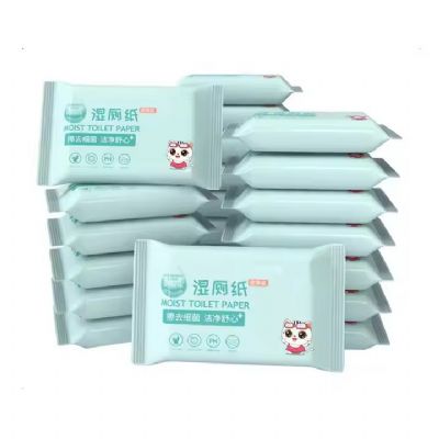 New product sanitary wipes 10pcs package flushable adult and baby wet toilet paper