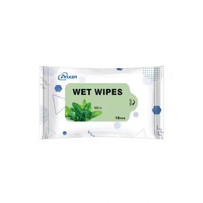 Travel 10-Pack Cleaning Wipes Wet Wipes for Multiple Cleaning