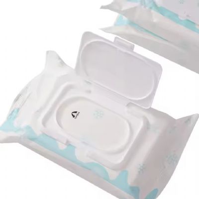 Factory sales cleaning wipes winter down jacket decontamination wipes